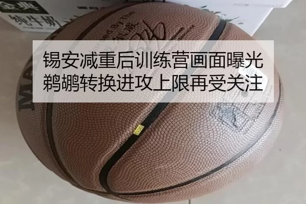 锡安减重后训练营画面曝光 鹈鹕转换进攻上限再受关注